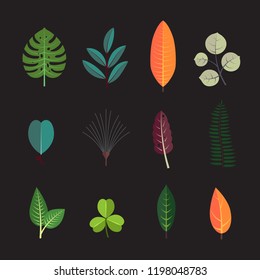 Exotic tropical leaf icons set. Forest tree leaves collection.