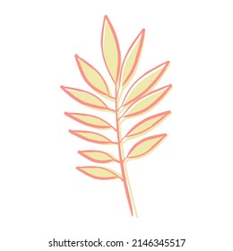 Exotic tropical leaf isolated on white background