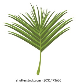 exotic tropical leaf nature icon