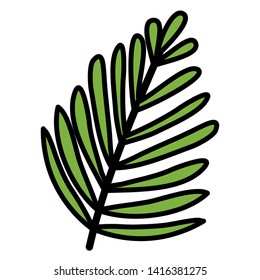 exotic and tropical leaf palm