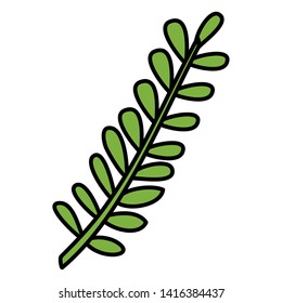 exotic and tropical leaf palm