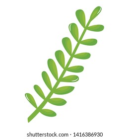 exotic and tropical leaf palm