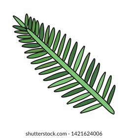 exotic and tropical leaf plant