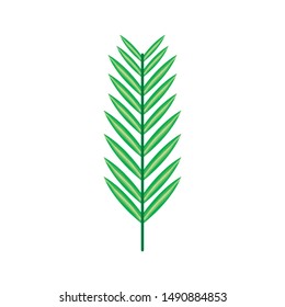 exotic and tropical leaf plant