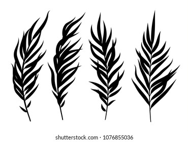 Exotische tropische Vektorillustration Illustration. Palmbaumzweig Silhouette.