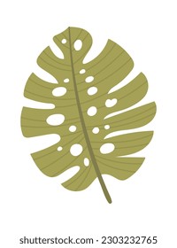 Exotic tropical leaf. Vector illustration