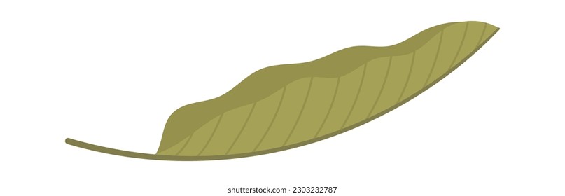 Hoja tropical exótica. Ilustración del vector