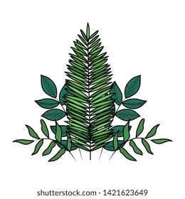 exotic and tropical leafs with branches decoration