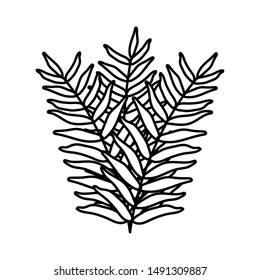 exotic and tropical leafs plant decoration