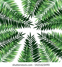 exotic and tropical leafs plant pattern