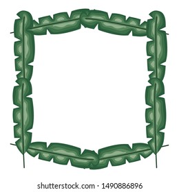 exotic and tropical leafs plants square frame