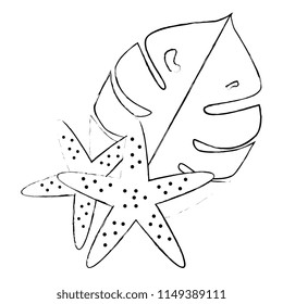 exotic and tropical leafs and starfish