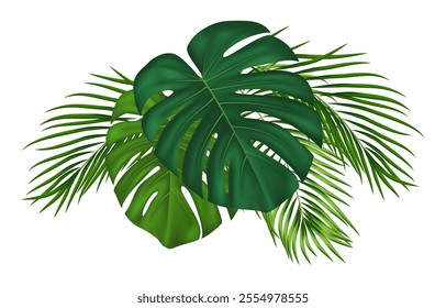 Exotic tropical leaves, branches, paradise plants. For greenery botanical invitation, natural card design. Vector Illustration