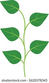 Exotic Tropical Leaves in Flat Design. Vector Illustration.