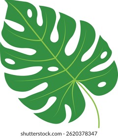 Exotic Tropical Leaves in Flat Design. Vector Illustration.