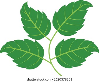 Exotic Tropical Leaves in Flat Design. Vector Illustration.