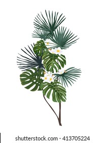 Exotic tropical leaves and flowers.  Isolated plant on a white background.