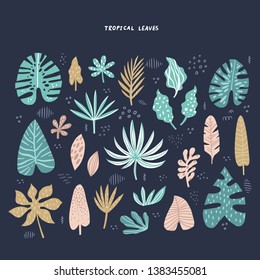Exotic, tropical leaves hand drawn flat illustrations set. Jungle, rainforest foliage sketch cliparts collection. Palm, banana, monstera, aralia split leaves. Botanical isolated design elements