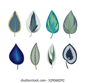 Exotic tropical leaves isolated on white background. Botanical print.