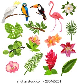 Exotic tropical leaves and parrots pictograms collection with orchids hibiscus and magnolia flowers buds abstract vector illustration