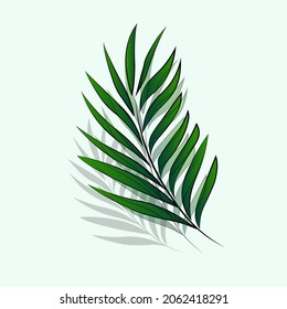 Exotic tropical leaves.green tropics palm leaves isolated vector illustration