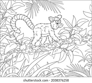 Lémur tropical exótico de Madagascar con una larga cola a rayas caminando en espesores de una selva tropical, ilustración vectorial de contorno negro y blanco para una página de libro de colorido