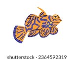 Exotic tropical mandarin fish. Sea water animal. Cute underwater marine mandarinfish with spotted pattern. Ornamental aquarium species. Colored flat vector illustration isolated on white background