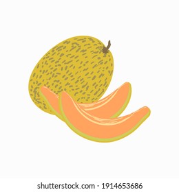 Exotic tropical melon fruit. Summer fruits, whole fruits and halves. Vector illustration cartoon flat icon isolated on white background.