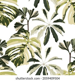 Exotic tropical natural green plant composition on white background. Beach seamless pattern wallpaper with monstera and other exotic plant.