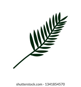 Exotic Tropical Palm Leaf, Botanical Design Element Vector Illustration
