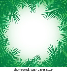 Exotic tropical palm tree. Frame border background. Summer vector illustration. Template for card.