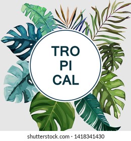 Exotic tropical palm tree. Frame border background. Summer vector illustration. Template for card. Watercolor style