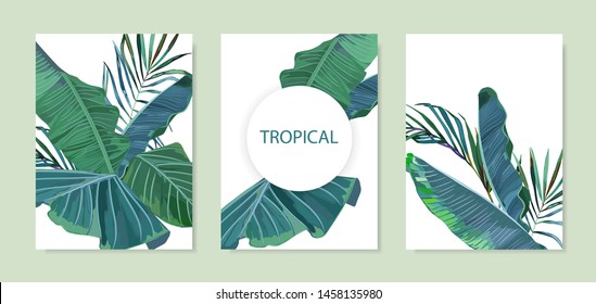 Exotic tropical palm tree. Frame border background. Summer vector illustration. Template set for card. Watercolor style