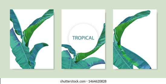 Exotic tropical palm tree. Frame border background. Summer vector illustration. Template set for card. 
