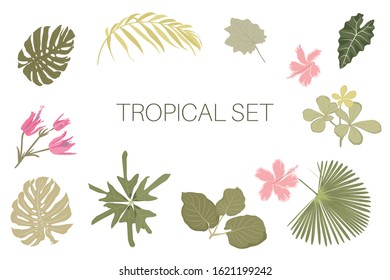 Exotic tropical palm tree monstera philodendron leaves and pink hibiscus flowers set for your design.