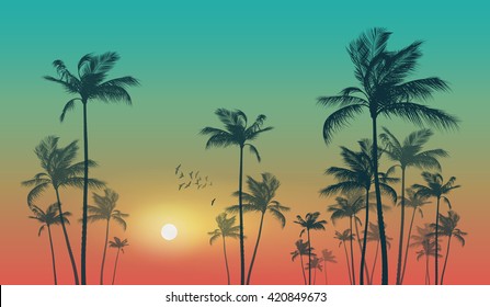 Exotic Tropical Palm Trees  At Sunset