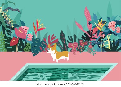 Exotic tropical plants and Corgi by the pool. simple flat vector graphic template.