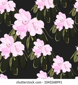 Exotic tropical rainforest flowers wrap paper seamless pattern abstract vector illustration. Black background.