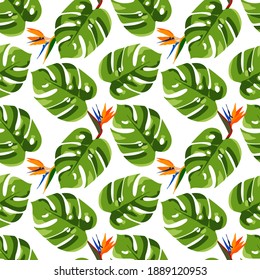 Exotic tropical seamless pattern with monstera leaves and strelitzia flowers . Botanical vector illustration in Hawaiian style. Design for printing card, poster, fabric, wallpaper, wrapping paper