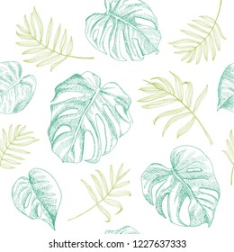 Exotic tropical seamless pattern. Summer palm leaves background. Hand drawn illustrations of palm leaves, monstera leaves.