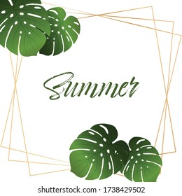 Exotic tropical summer frame with leaves white isolated background. Vector illustration