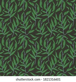 Exotic tropical vrctor background with hawaiian plants and flowers. Seamless indigo tropical pattern with monstera and sabal palm leaves, guzmania flowers.