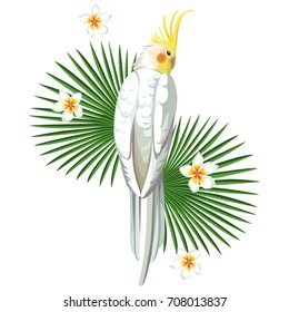 Exotic tropical white parrot bird with leaves and flower print wallpaper