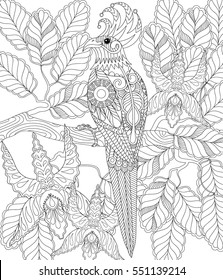 Exotic tropical zentangle bird for adult anti stress coloring page, parrot sitting on branch with flowers, nature greeting card, decorations. Hand drawn patterned illustration for St Valentine day