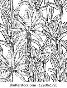 Exotic Tropics Jungle Forest with Palms and Banana Leaves, Seamless Patterns