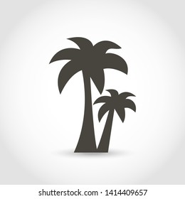 Exotic two  palm tree black silhouette isolated on a white background