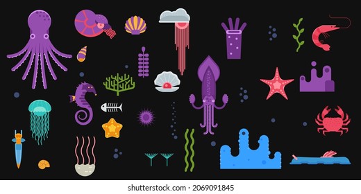 exotic underwater animals and under sea creatures