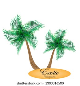 
Exotic vector background with palm trees, sticker