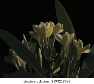exotic vector flower illustration template