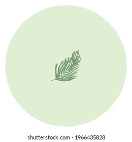 Exotic vector logo template. Palm tree symbol, palm leaf sign. Image for tropical spa, beauty studio emblem, natural makeup, organic cosmetics badge. Floral icon for travel service and icon app cruise